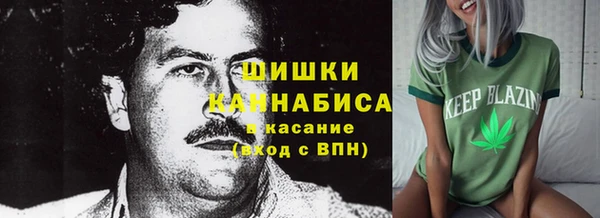 прущие грибы Армянск