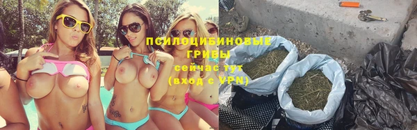 прущие грибы Армянск